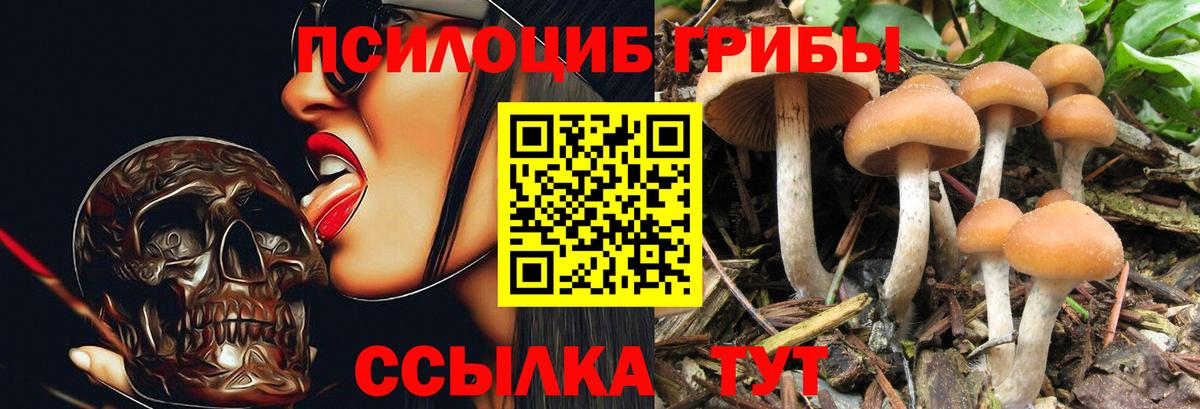 Менделеевск  Галлюциногенные грибы Magic Shrooms  Вход с VPN  Галлюциногенные грибы прущие грибы 
