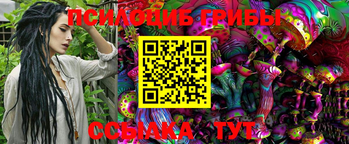 Псилоцибиновые грибы MAGIC MUSHROOMS Менделеевск
